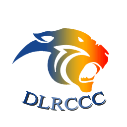 DLR County 2